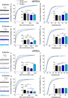 Caffeine Consumption During Pregnancy Accelerates the Development of Cognitive Deficits in Offspring in a Model of Tauopathy
